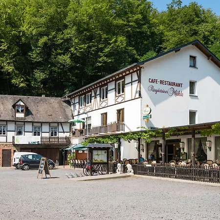 Ringelsteiner Muehle 3* Moselkern