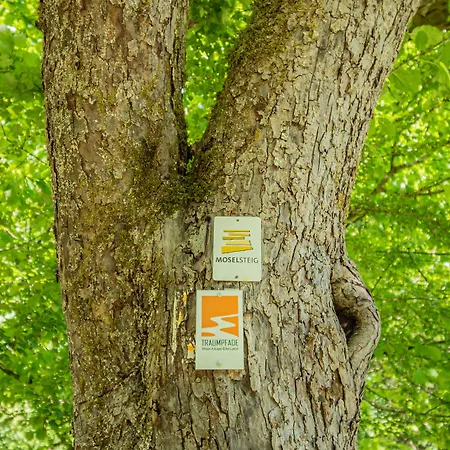 Ringelsteiner Muehle 3*