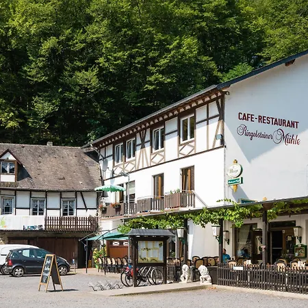 Hotel Ringelsteiner Muehle 3*