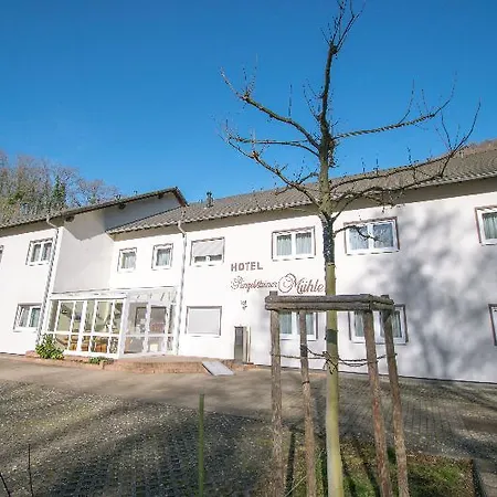 Ringelsteiner Muehle Hotel 3*