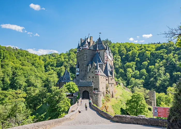 Ringelsteiner Muehle Hotel 3*