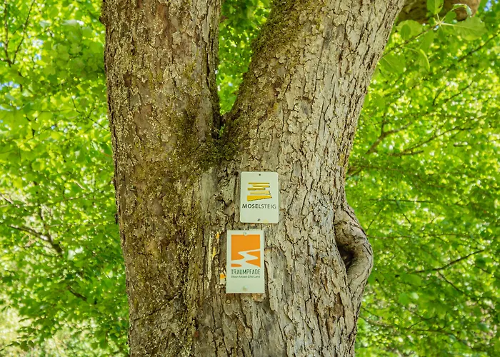 Ringelsteiner Muehle 3*