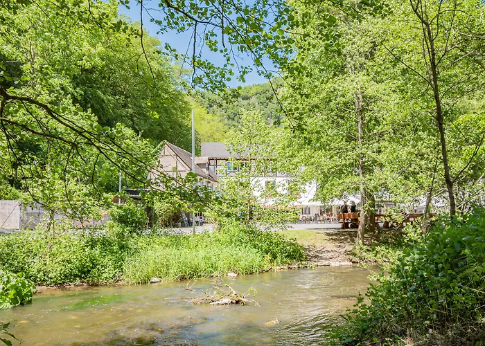 Ringelsteiner Muehle Moselkern