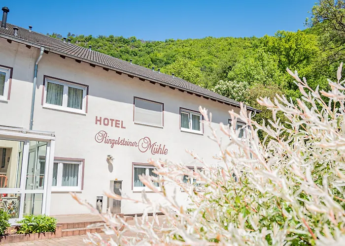 Ringelsteiner Muehle Hotel 3*