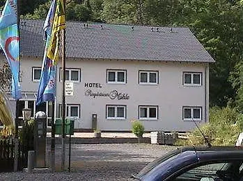 Ringelsteiner Muehle 3*