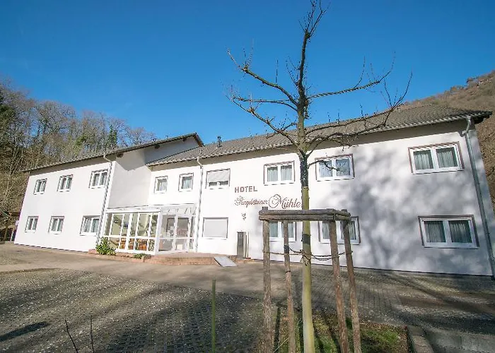 Ringelsteiner Muehle Hotel 3*